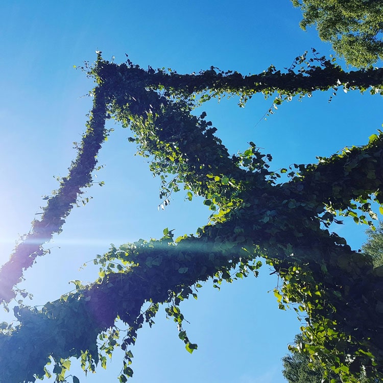 Midsommarfirande med folkdans runt midsommarstången på Kaffestugan Alphems