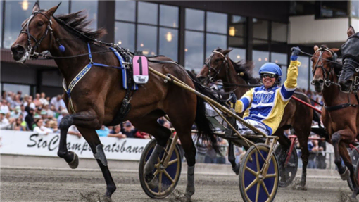 Stochampionatet på Axevalla Travbana, där topphästar tävlar om den prestigefyllda titeln. Fullsatta läktare och dramatisk racing. Foton: mva.foto.