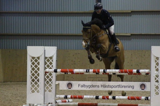 En ryttare på en brun häst hoppar över ett hinder med Falbygdens Hästsportförenings logga i bakgrunden under en hopptävling.