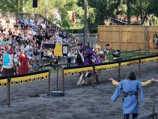 En riddare i lila rustning rider fram i full galopp under ett tornerspel, omgiven av publik och medeltida dekorationer. En riddardomare i blått står i förgrunden.